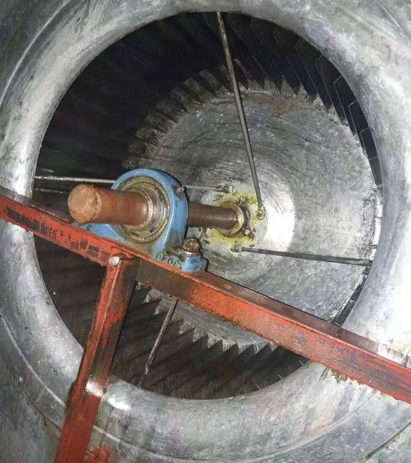 1578296546175117.jpg